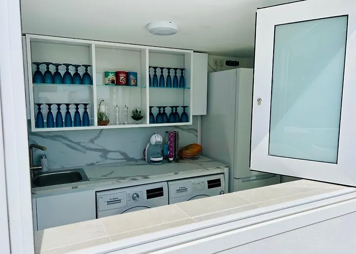 Amber - Fresh モロ・デル・ハブレ