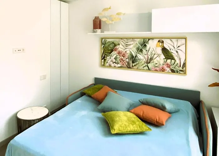 Amber - Fresh モロ・デル・ハブレ